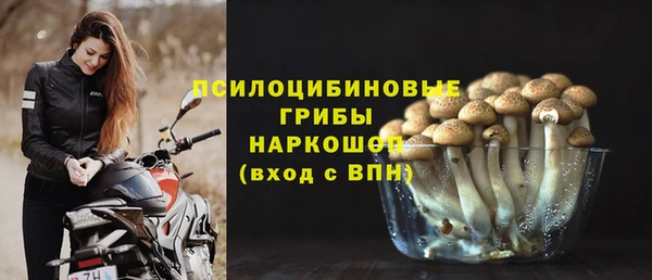 spice Каменка