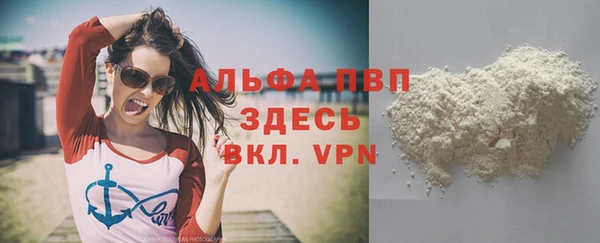PSILOCYBIN Инта