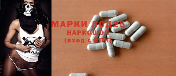 spice Каменка