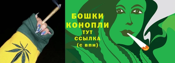 spice Каменка