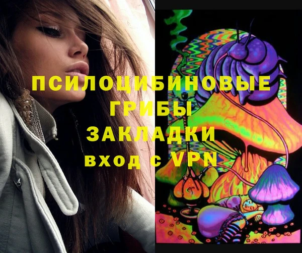 трава Каменногорск