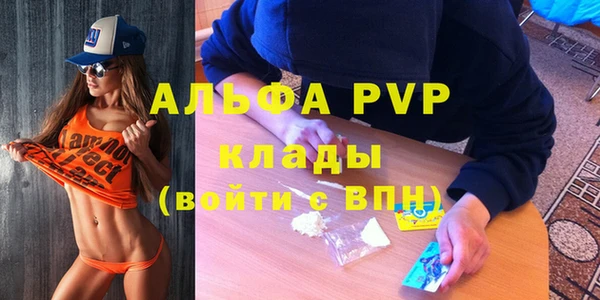 PSILOCYBIN Инта