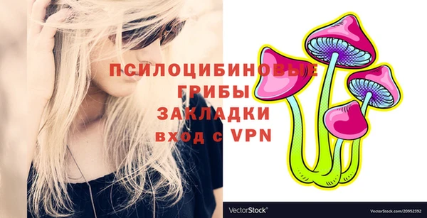 spice Каменка