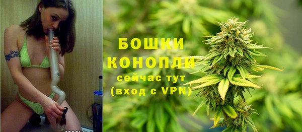 spice Каменка