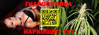 хмурый Бийск