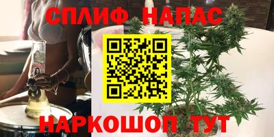 молекула духа Беслан