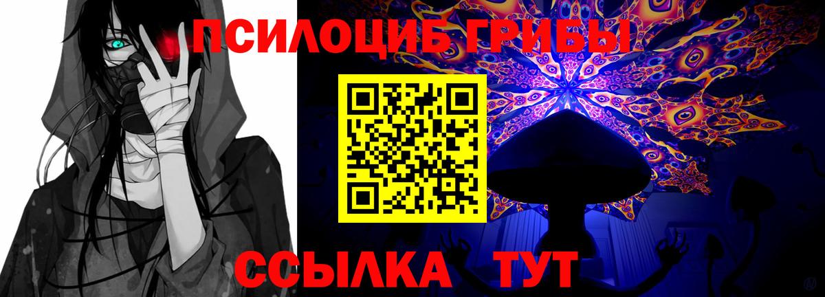 Кириши  Псилоцибиновые грибы GOLDEN TEACHER  Вход с VPN  цены   Галлюциногенные грибы ЛСД 