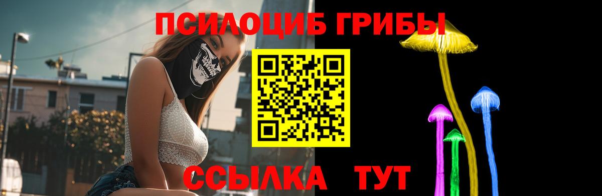 Галлюциногенные грибы Cubensis Кириши